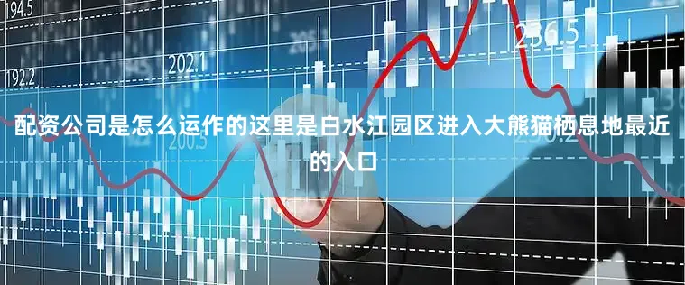 配资公司是怎么运作的这里是白水江园区进入大熊猫栖息地最近的入口