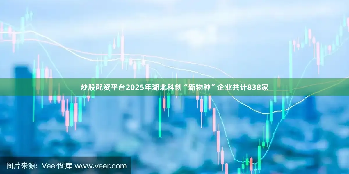 炒股配资平台2025年湖北科创“新物种”企业共计838家