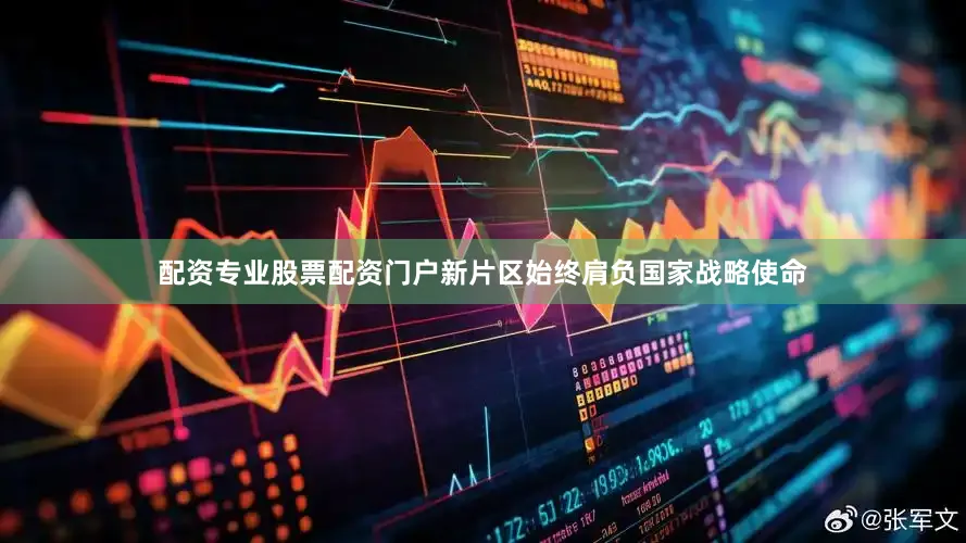 配资专业股票配资门户新片区始终肩负国家战略使命